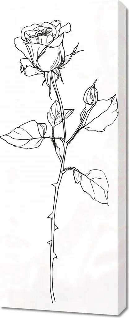 Décoration Murale Rose 40x100 cm : Habillez vos Murs Vides avec Style