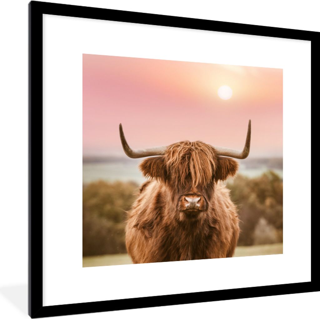 MuchoWow Gerahmtes Poster Natur - Schottischer Highlander - Rosa 40x40 cm - Poster mit Schwarzem Bilderrahmen Wandposter Rahmen Foto Bilder - Pos...