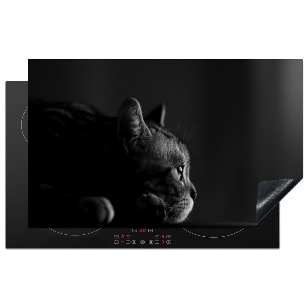 KitchenYeah Herdabdeckplatte Ein American Shorthair auf dem Tisch liegend - schwarz-weiß , 85x52cm, Küche Deko, Glaskeramikkochfeld Herdabdecku...