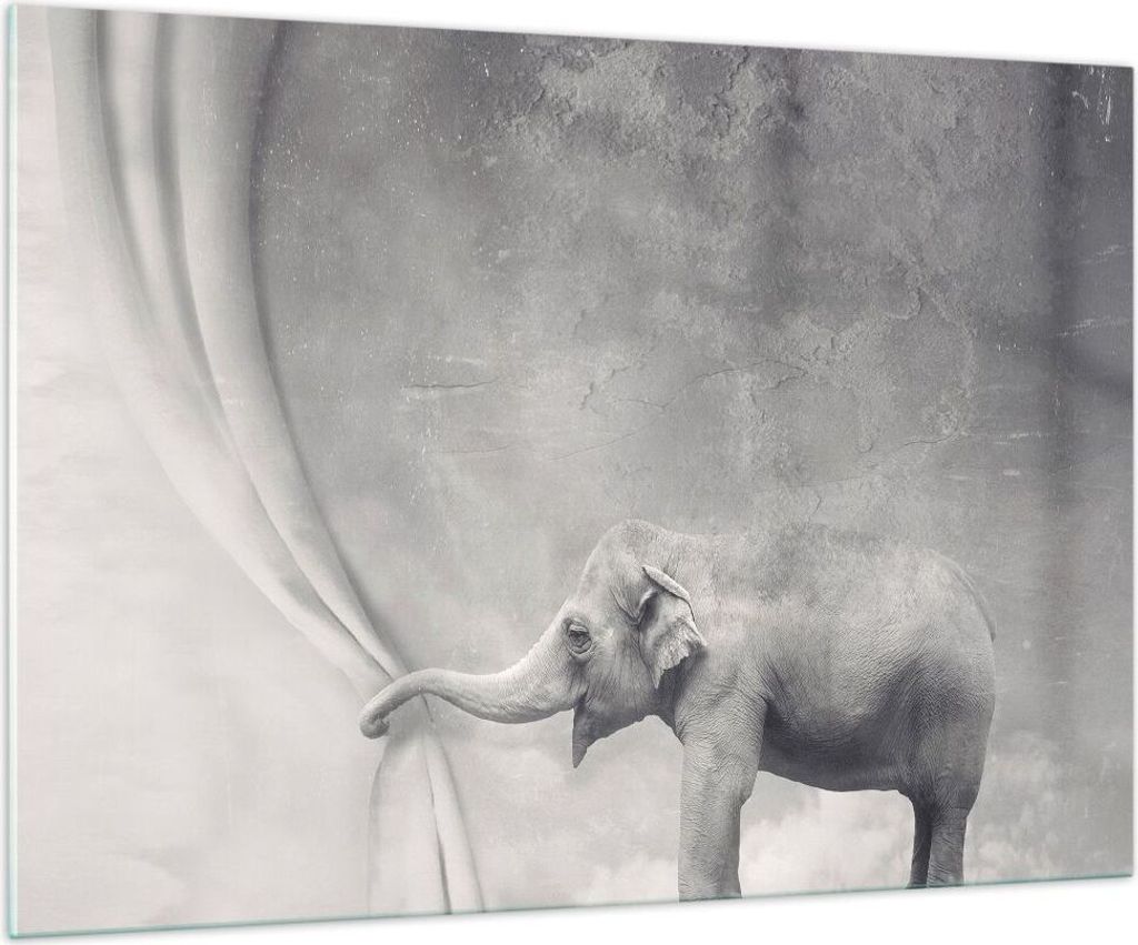 Bilder auf glas - Elefant Vorhang Abstraktion Phantasie - Produktbild 