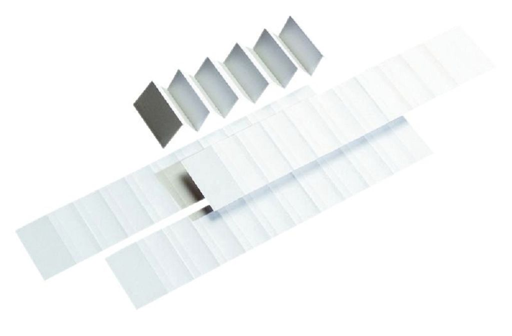 Atlanta by Jalema 2584900000 Blanko-Schildchen für Varioreiter - 60 mm, 250 Stück