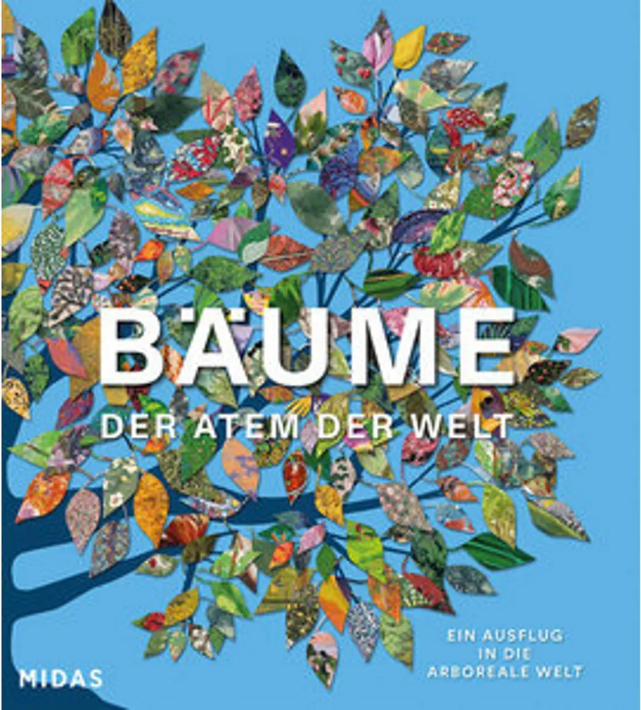 BÄUME Der Atem der Welt : retrouvez le calme grâce à la forêt sauvage