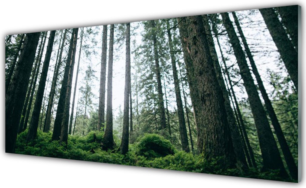 Küchenrückwand aus Glas 125x50cm Spritzschutz Wald Natur