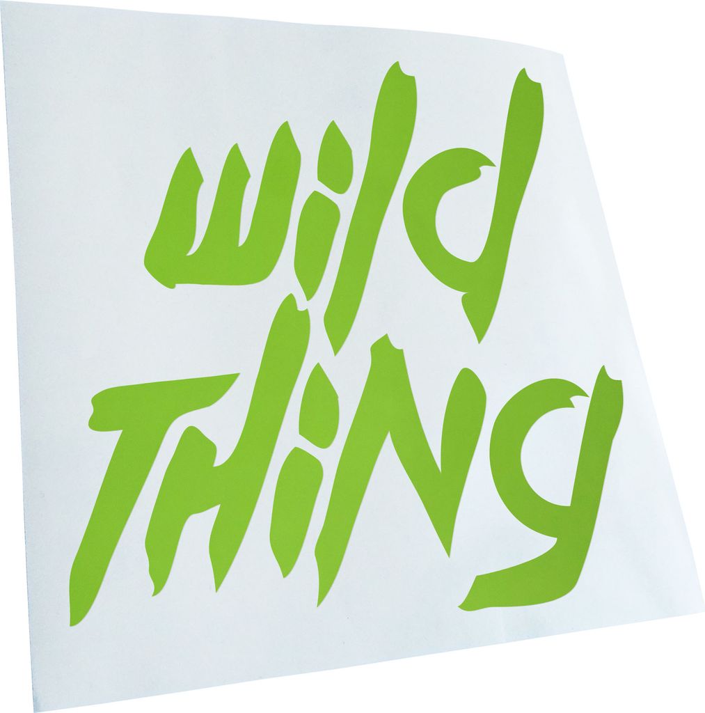 hauptsachebeklebt Kiwistar - Autoaufkleber - Wild Thing - Girl - Tussi Heckscheibe - Aufkleber für Auto Kfz Fahrrad, LKW, Truck Mofa