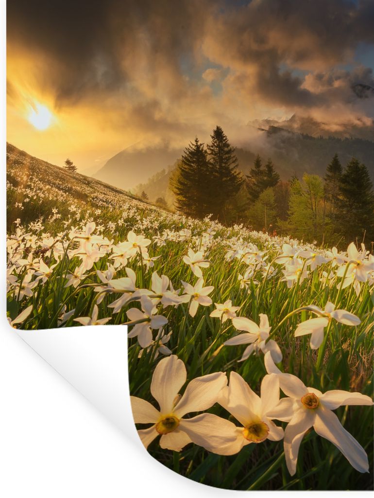 MuchoWow Wandtattoo Wandsticker Wandaufkleber Blumenfeld - Hügel - Sonnenuntergang - Berg - Natur - Weiß - Hügel 60x80 cm Selbstklebend und Re...
