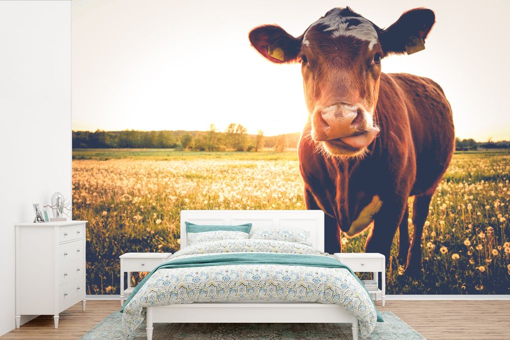 MuchoWow Fototapete für Wohnzimmer oder Schlafzimmer Wandtapete Vinyl Motivtapete Kuh - Sonnenuntergang - Blumen - Gras - Tiere - 360x240 cm - V...