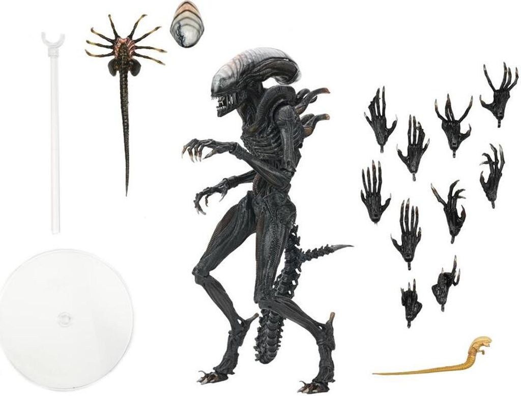 NECA - Alien: Romulus - 7" Scale Action Figure - Ultimate Produktbild 