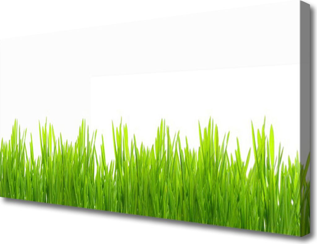 Tulup Leinwand-Bilder 100x50 Wandbild Canvas Kunstdruck Gras Natur