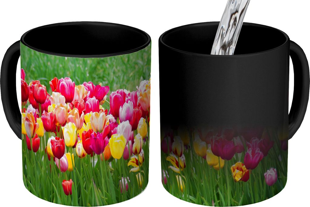 MuchoWow Zauber Tasse Zaubertasse Magic Ein Rundblick über die Tulpenfelder 350 ml Farbwechsel Becher Geschenk Geschenkidee - Magic-Tasse - Foto...