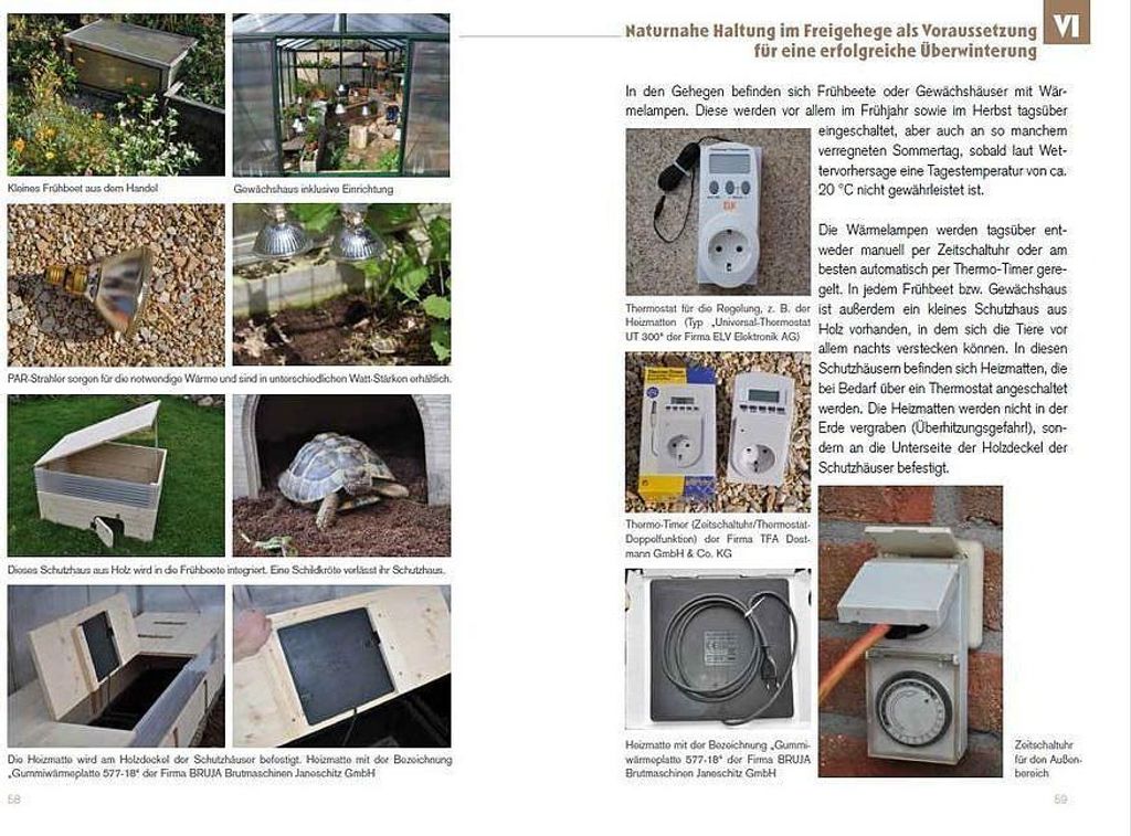Winterstarre bei Europäischen Landschildkröten Image du produit 
