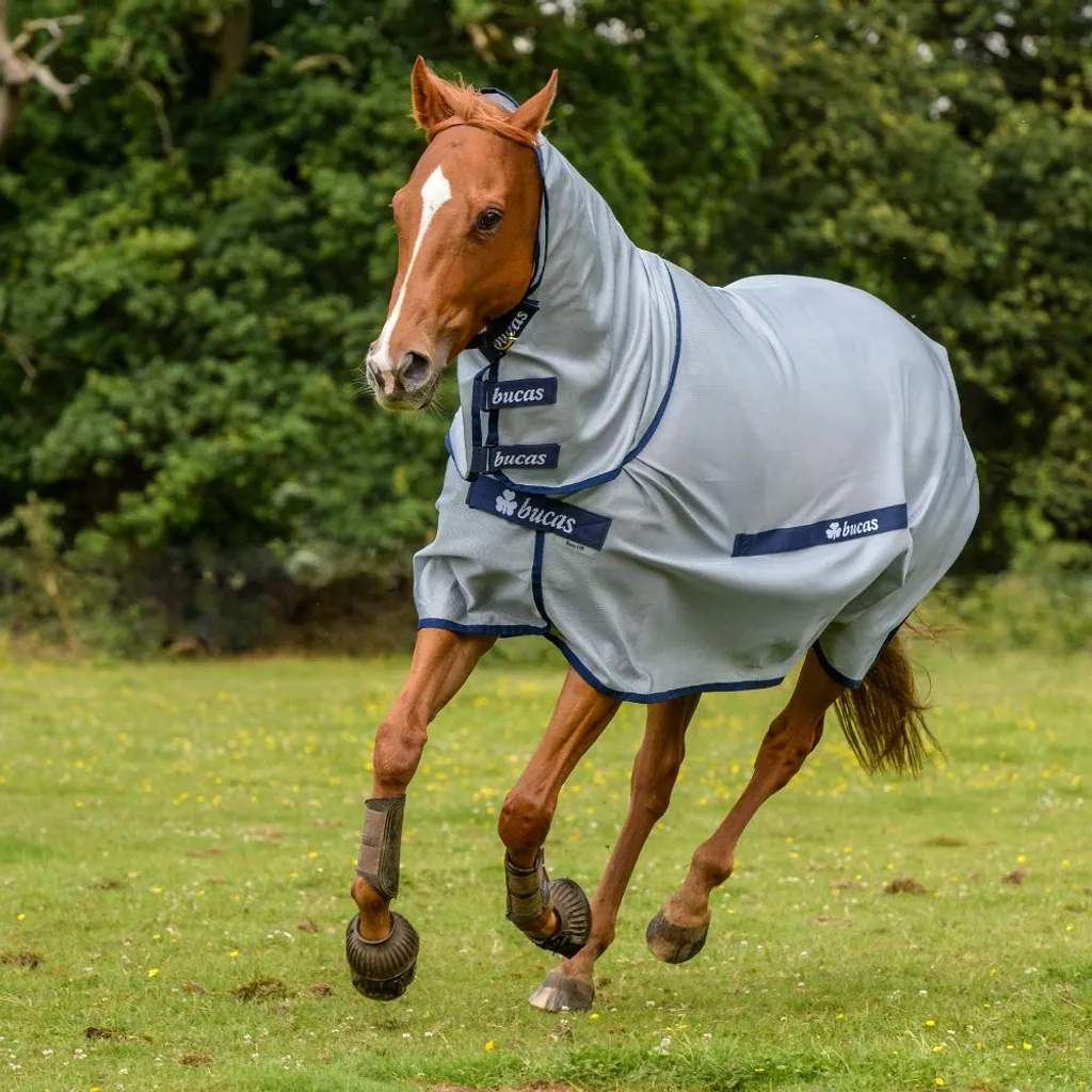 Bucas Buzz-Off Blu 145: Il Must-Have Estivo per Cavalli Sportivi