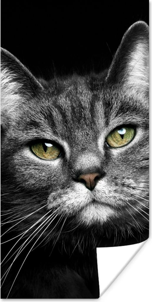 MuchoWow Poster Haustiere - Katze - Tiere - Schwarz - Weiß 40x80 cm - Dekoration