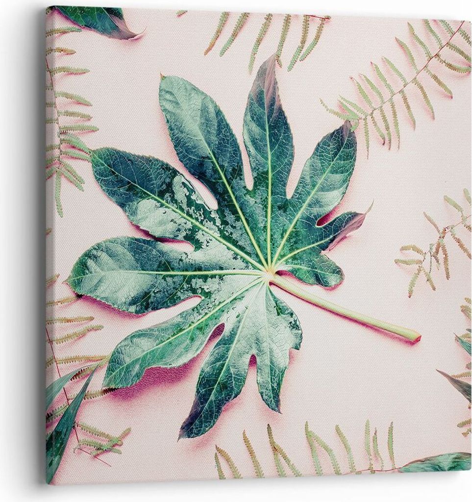 Bild auf Leinwand - Leinwandbild - Einteilig - Blatt Tropisch Palme - 40x40cm - Wand Bild - Wanddeko - Wandbilder - Leinwanddruck - Bilder - Wandde...
