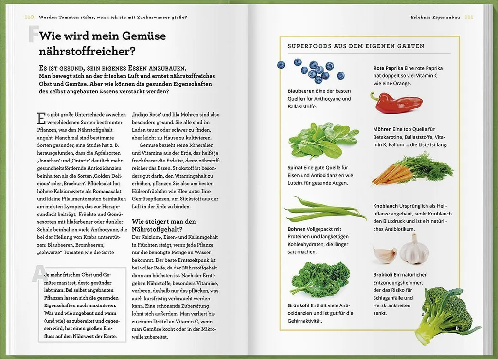Livre potager pour éliminer le goût fade des tomates bio