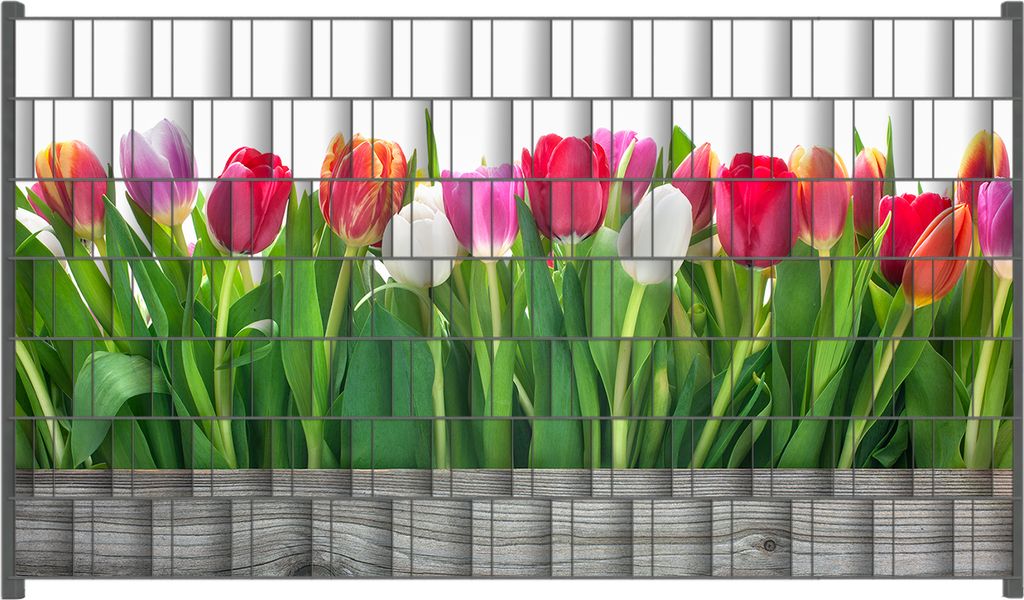 Wallario Zaunsichtschutz mit Motiv Rote weiße und pinke Tulpen im Frühling für Ein- und Doppelstabmatten Zäune in der Größe 250 x 140 cm