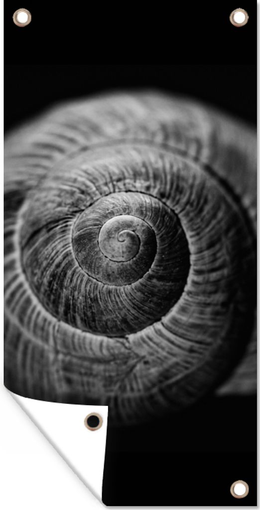 MuchoWow 30x60 cm Outdoor-Poster Gartendeko Sichtschutz Garten Poster für den Garten Schnecke - Tiere - Schwarz - Weiß - Schneckenhaus