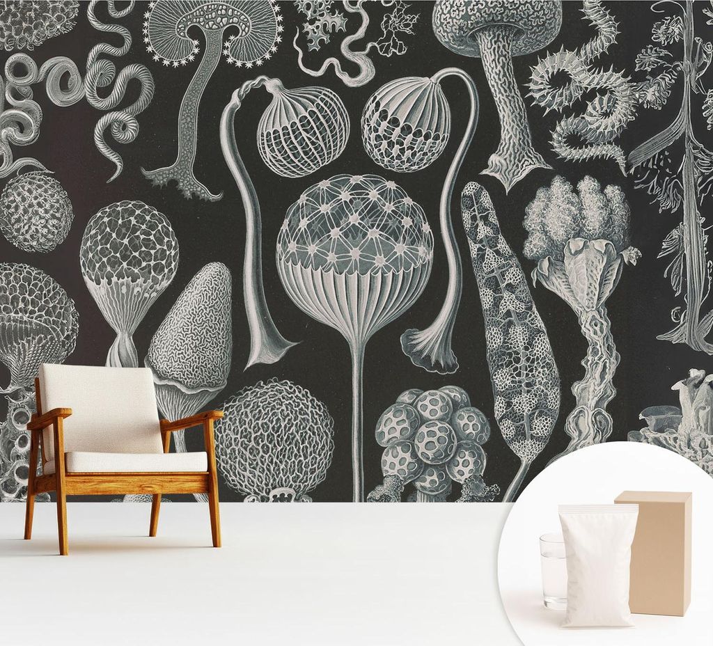 Fototapete - 312x219 cm - Tapete - Wandtapete - Wandbilder - Dekofolie - Tapete Folie - Wand - Dekoration - Wohnzimmer - Magische Pflanzen