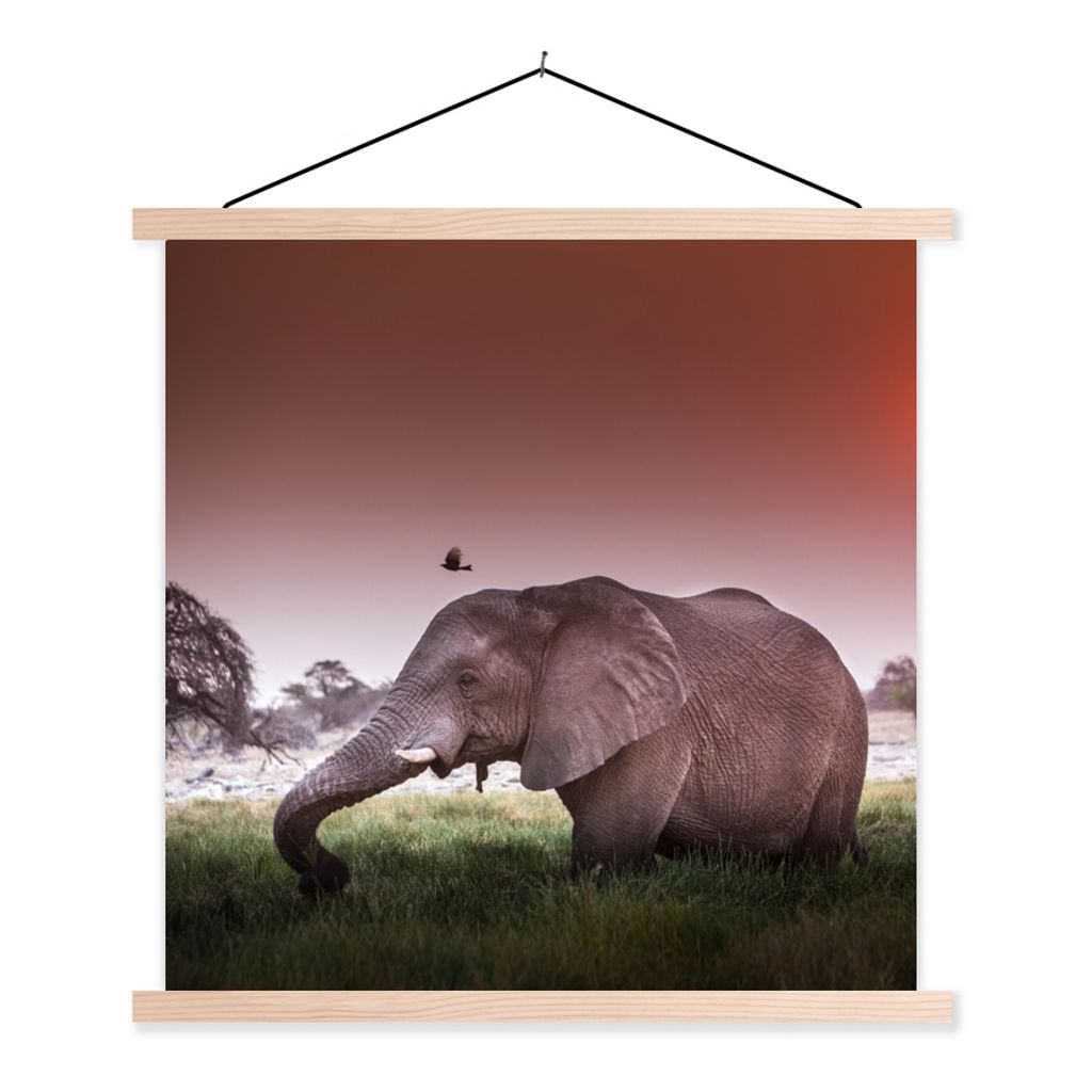 MuchoWow Textilposter Elefant - Gras - Sonne - Tiere 40x40 cm mit holzfarbenen Rahmen - Posterleiste
