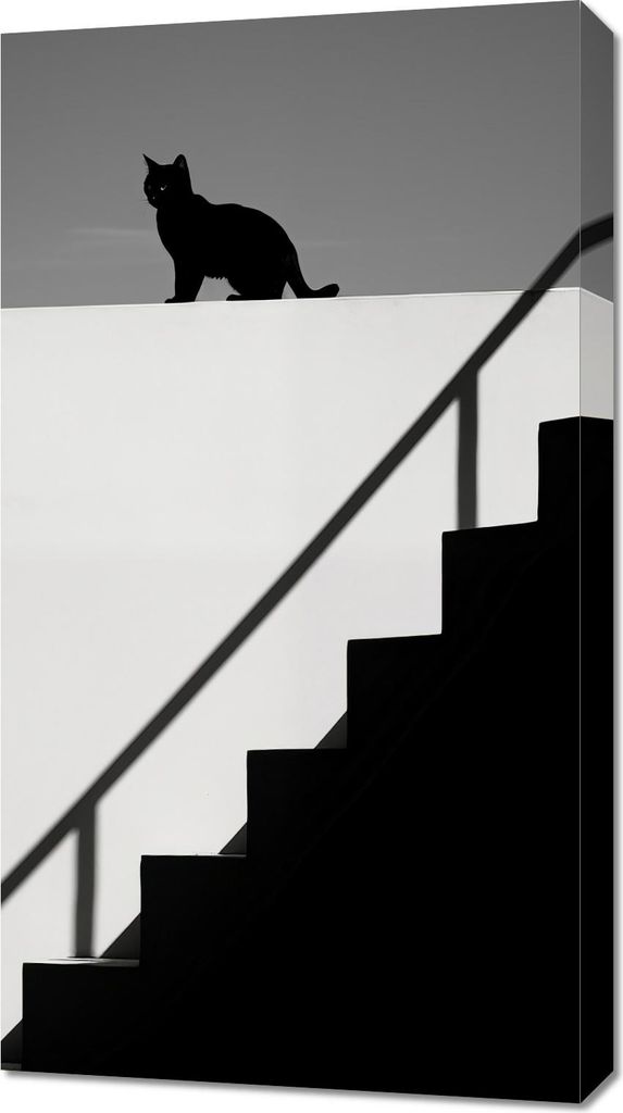 Bild 50x90cm Silhouette und Symmetrie