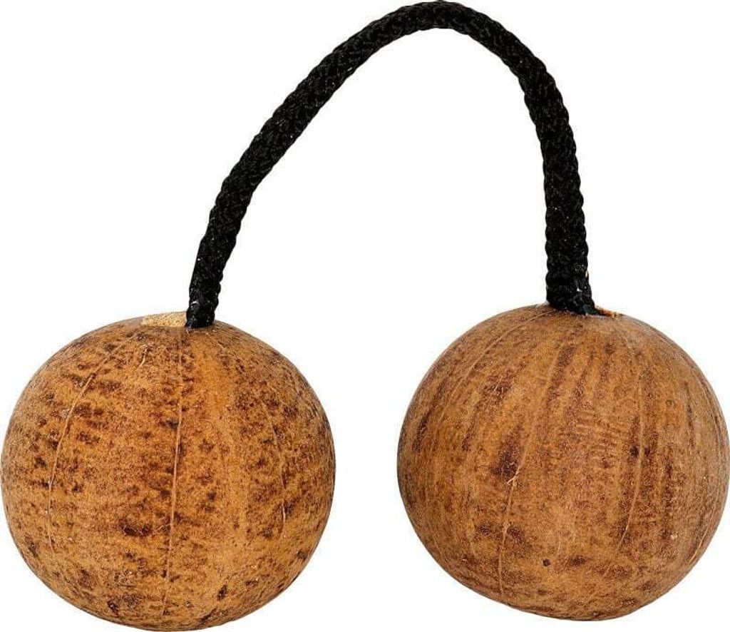 A pair of coconut shakers connected by a black cord.