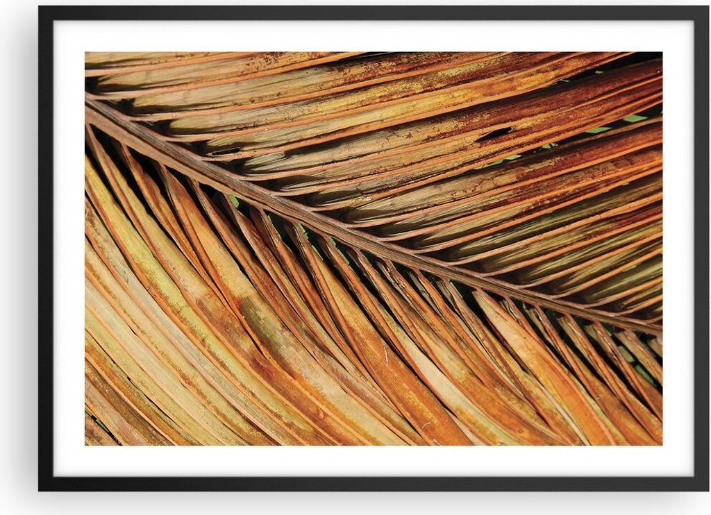 Gerahmtes Poster - Schwarzer Rahmen - Orange Blatt Tropisch - 70x50 cm - Wand Bild - Wanddeko - Wandbilder - Kunstposter - Wandposter - Bilderrahme...