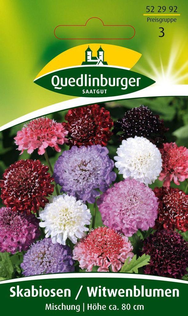 Quedlinburger Saatgut - Scabiosa fiore di vedova - Semi - Immagine del prodotto 