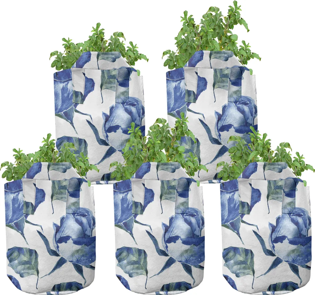 Kit de 5 pots d'aquaculture 5 gallons pour potager balcon et hydroponie