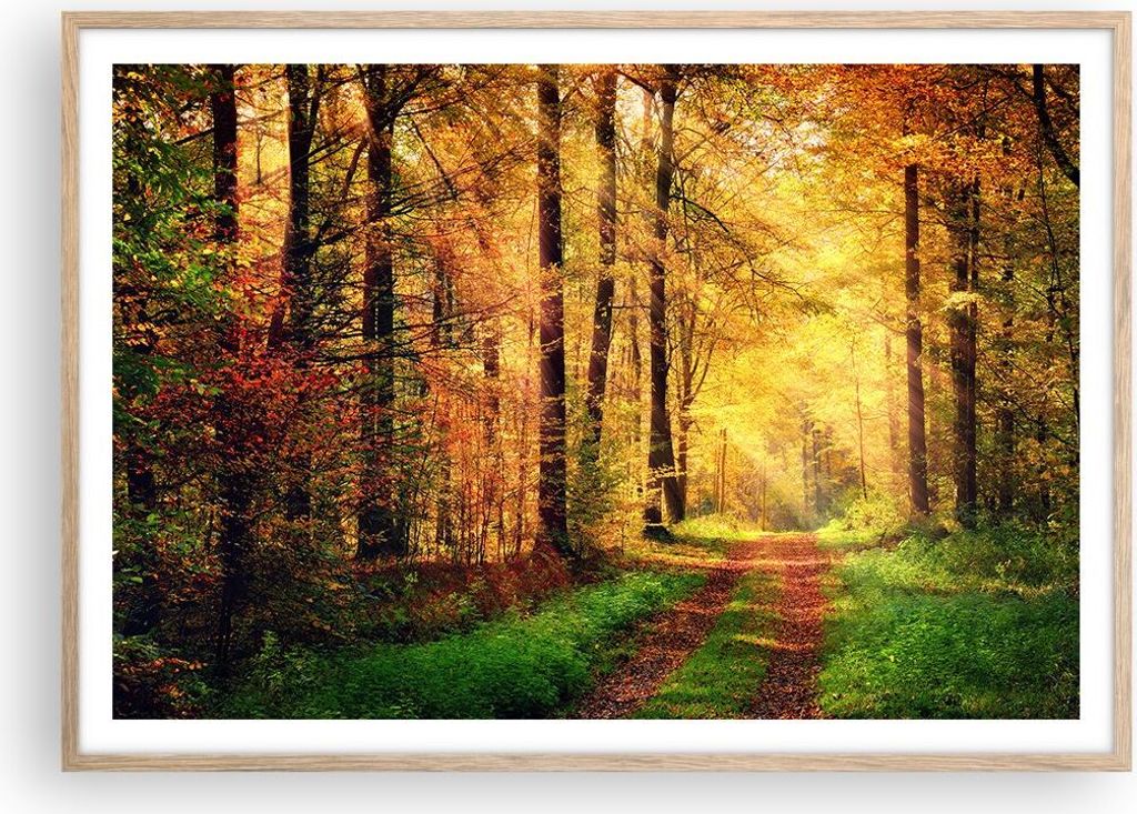 Gerahmtes Poster - Rahmen in heller Eiche - Wald Baum Natur Produktbild 