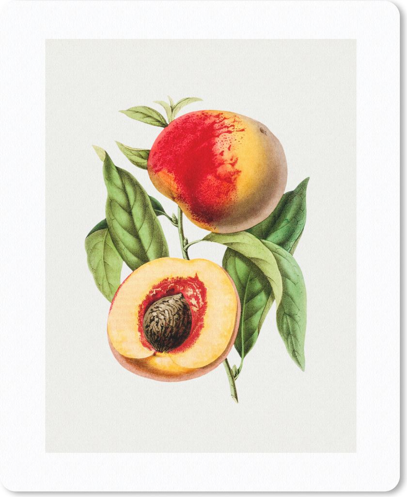 MuchoWow Mauspad Mousepad Pfirsich - Nuss - Lebensmittel 30x40 cm - Mousepads - Maus Mat - Pad - Mausunterlage - Mausmatten