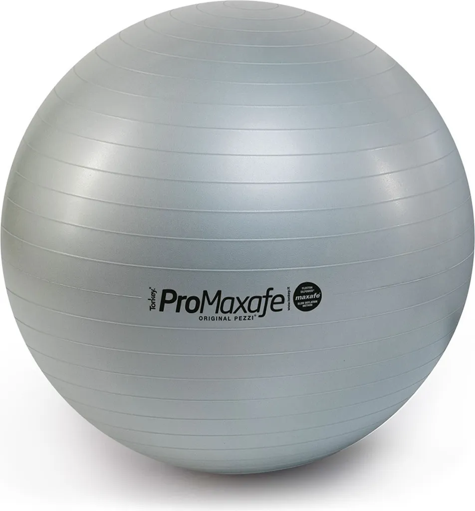 Ballon de Gym Argenté pour Musculation et Yoga Original Pezzi PROmaxafe