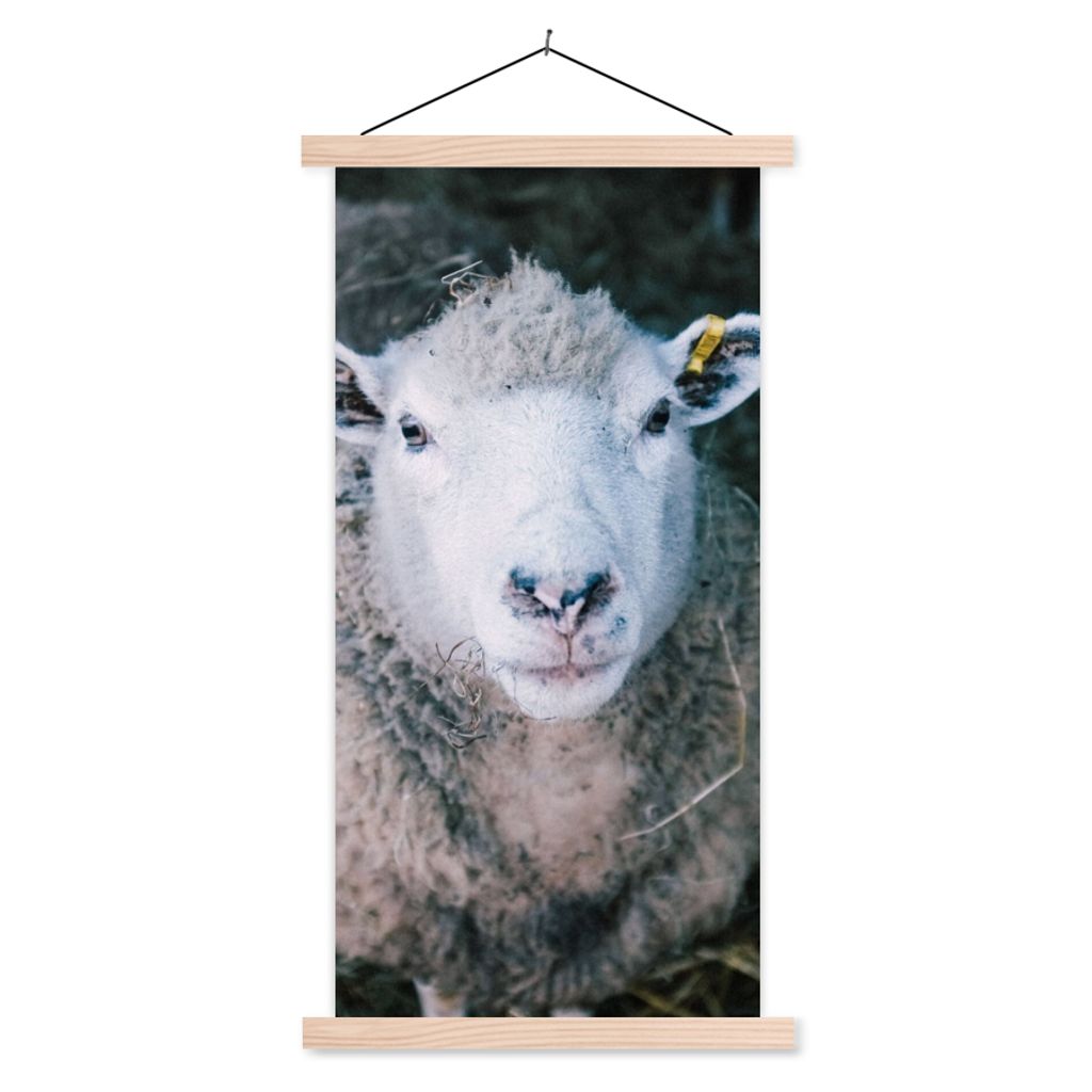 MuchoWow Textilposter Schafe - Tiere - Rinder 40x80 cm mit holzfarbenen Rahmen - Wohnzimmer