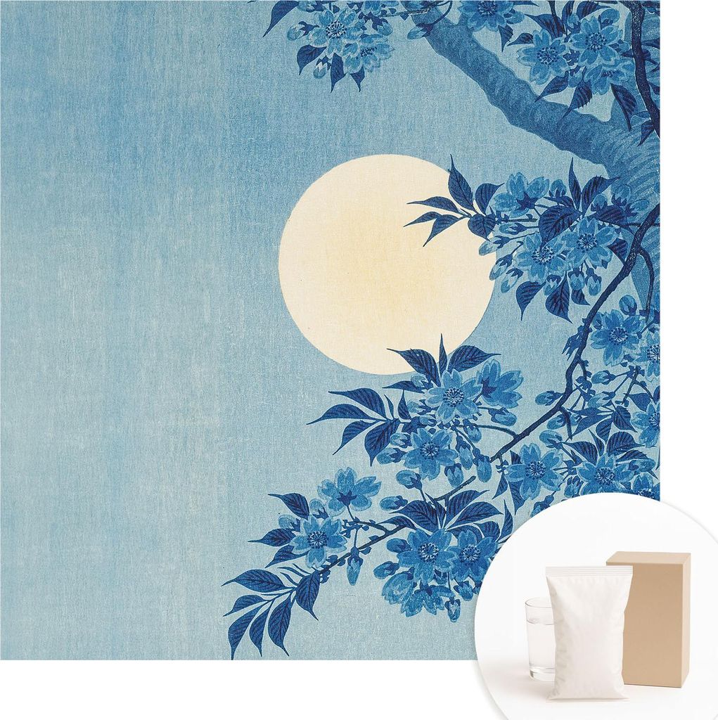 Fototapete - Wandbilder für Wohnzimmer - 250x250 cm - Dekorative Wandfolie - Modernes Design für Wanddekoration - Tapeten für Innenräume - Blum...