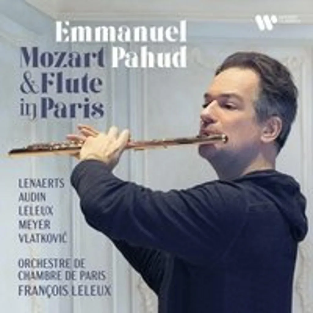 Affiche d'art Mozart & Flute à Paris contre les murs ternes du salon