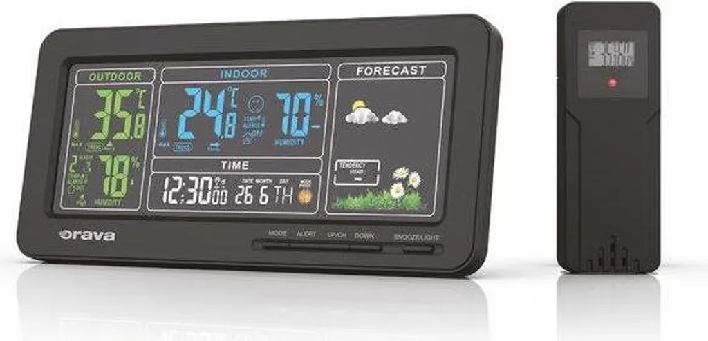 Pluviomètre Écureuil Météo-1 pour Arrosage Précis de Votre Potager