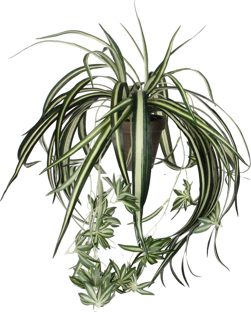 Mica Decorations Chlorophytum Plante artificielle dans pot Image du produit 