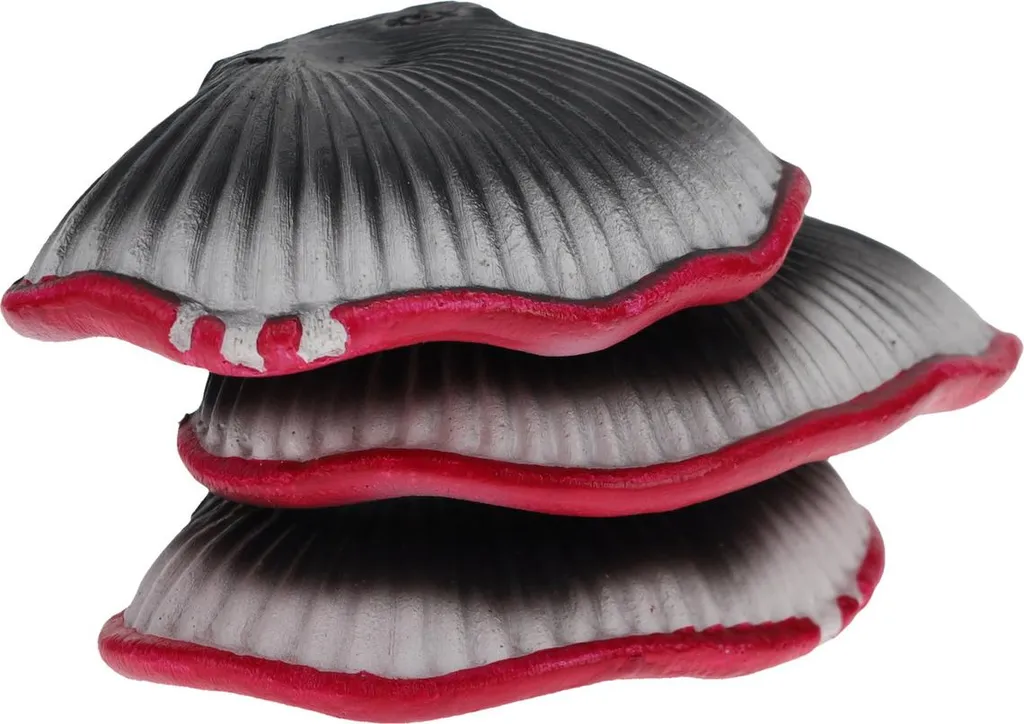 Aménager un Aquarium Fantastique avec le Champignon Flottant Rose 10cm