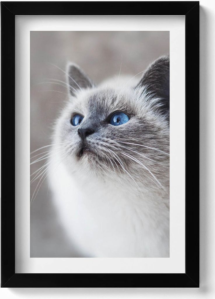 Friedliche Landschaft eines Wintersees– Wandbild mit Rahmen – Gerahmtes Bild – Wanddekoration – 20x30 cm – Schwarz