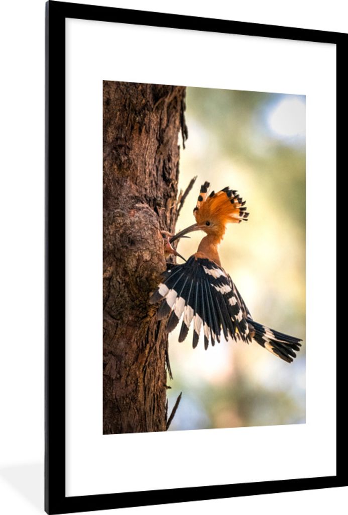 MuchoWow MuchoWow Gerahmtes Poster Vogel - Baum - Wald 60x90 cm - Poster mit zchwarzem Bilderrahmen - Dekoration - Wandposter Wohnzimmer - Hoch...