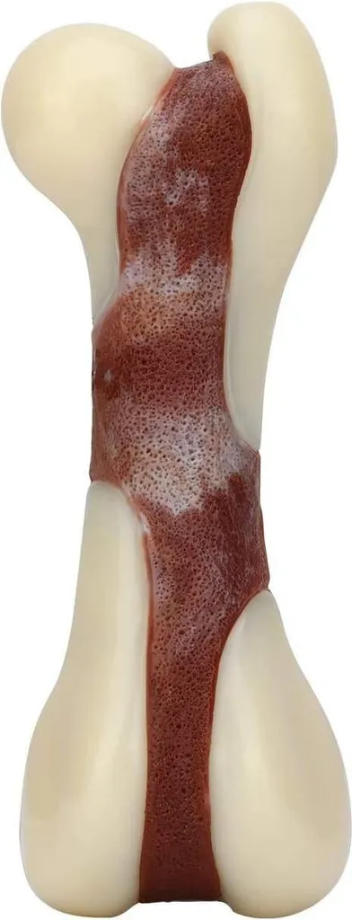 Os de Mastication pour Chien Difficile - Jouet Résistant Goût Bœuf (L)