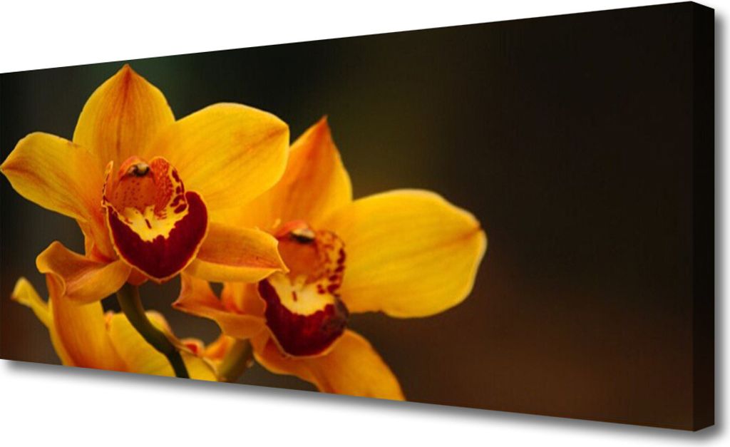 Tulup Leinwand-Bilder 125x50 Wandbild Canvas Kunstdruck Blumen Pflanzen