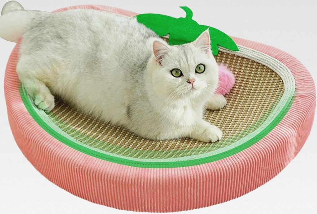 für Katzen Bett | Kratzbrett rund für Katzen, Nest weich für Schlaf | Wohnung Sofa Wand Stuhl Teppich Dortoire Auto