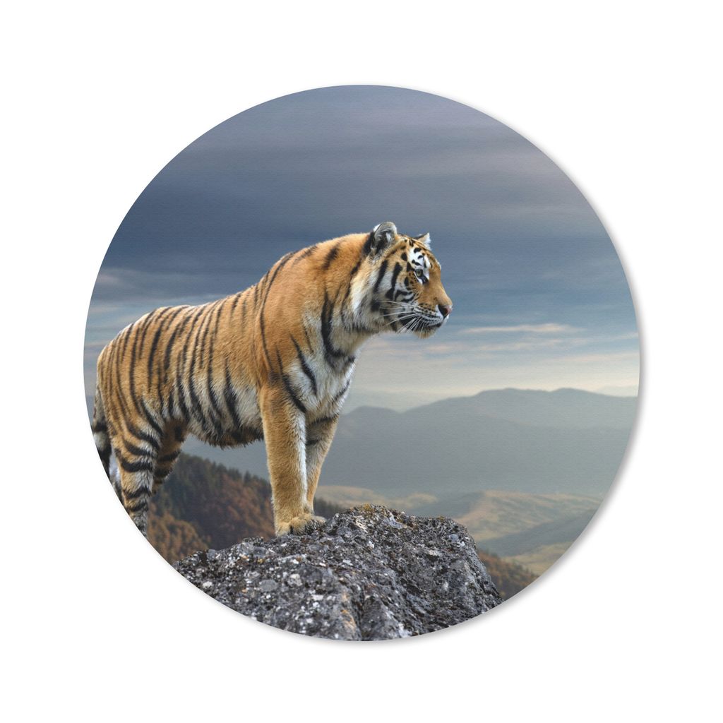 MuchoWow Mauspad Mousepad Tiger - Berg - Natur - Landschaft 40x40 cm - Mousepads - Maus Mat - Pad - Mausunterlage - Schreibtisch Accessoires