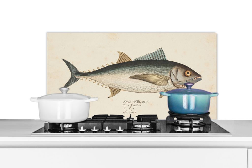 KitchenYeah Spritzschutz Küche - Küchenrückwand - Wandschutz für Herd und Spüle - Eine alte Illustration eines Fisches 80x40 - Alu-Dibond (A...