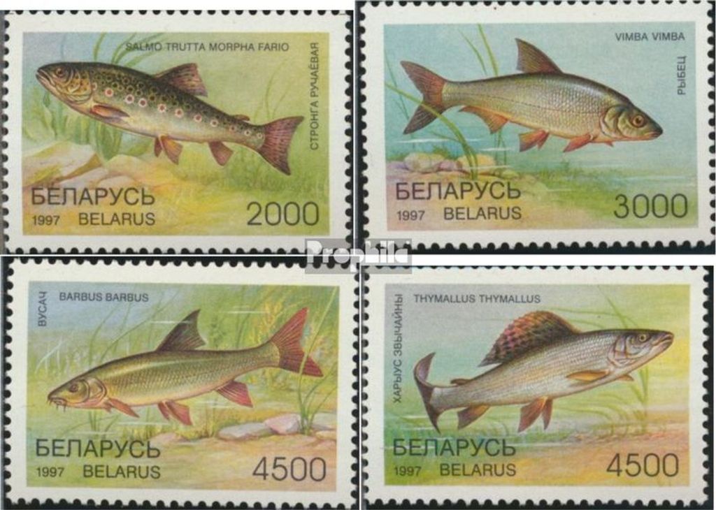 Briefmarken Weißrussland 1997 Mi 217-220 (kompl.Ausg.) postfrisch Fische