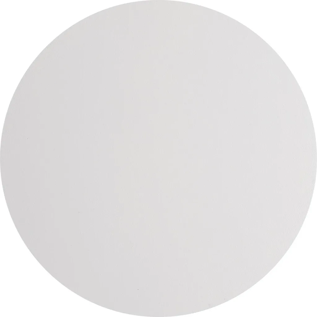 Applique Murale LED 520lm en Métal Blanc Chaud 25cm Style Moderne