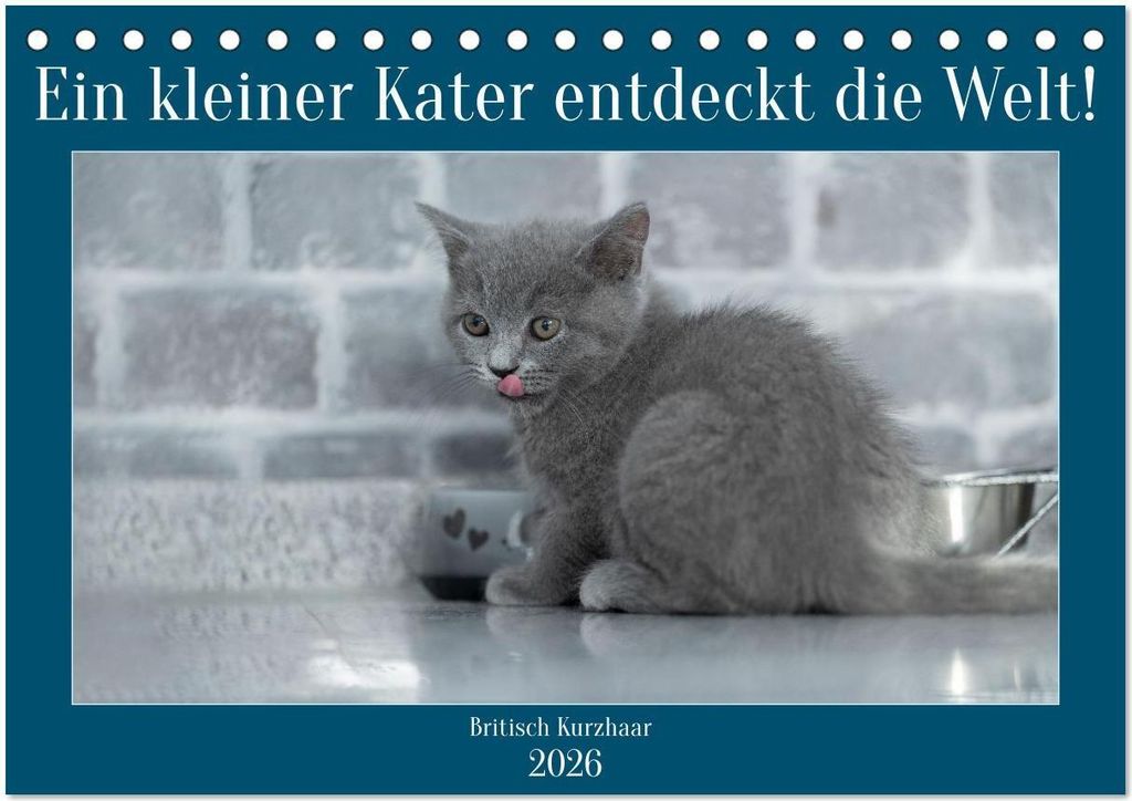 Ein kleiner Kater entdeckt die Welt! (Tischkalender 2026 DIN A5 quer), CALVENDO Monatskalender