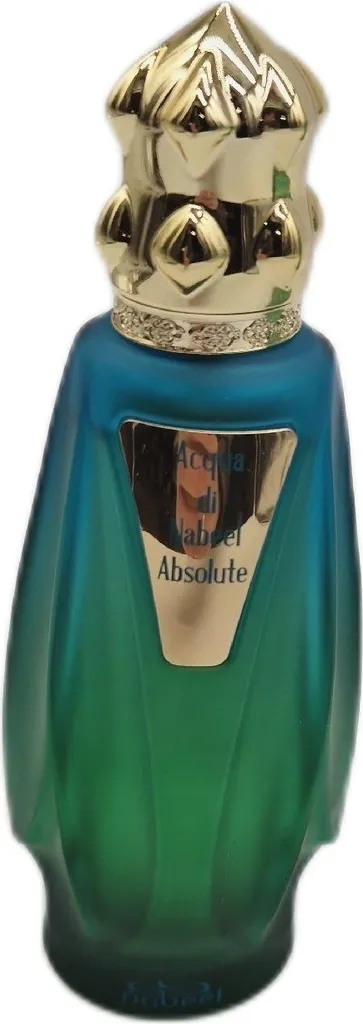 Acqua di Nabeel Absolute Eau de Parfum 100ml | Note Orientali - 14
