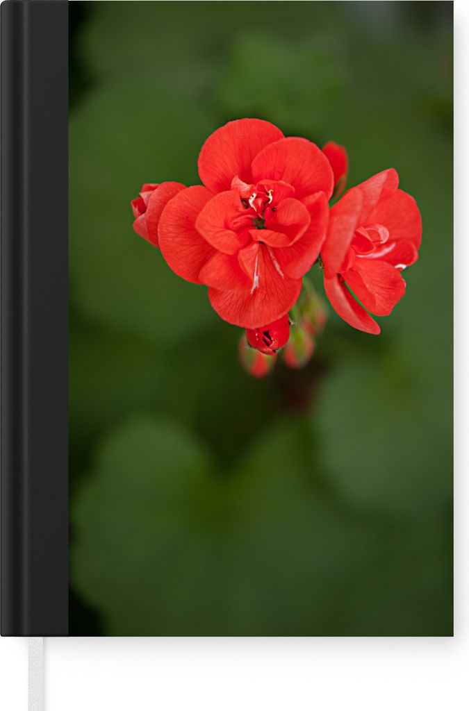 MuchoWow Notizbuch Tagebuch Haushaltsbuch Notebook A5 Blühende rote Geranienblüte - Notizblock - Notizheft - Notebook - Schreibblock - Papier