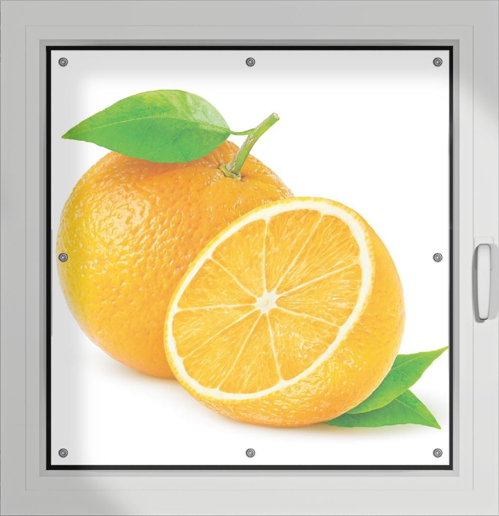Wallario Lichtschutzbild, Dekorativer Sichtschutz Sonnenschutz 96 x 100 cm mit Motiv: Saftige Orangen vor weißem Hintergrund - Verdunklung ohne Bo...