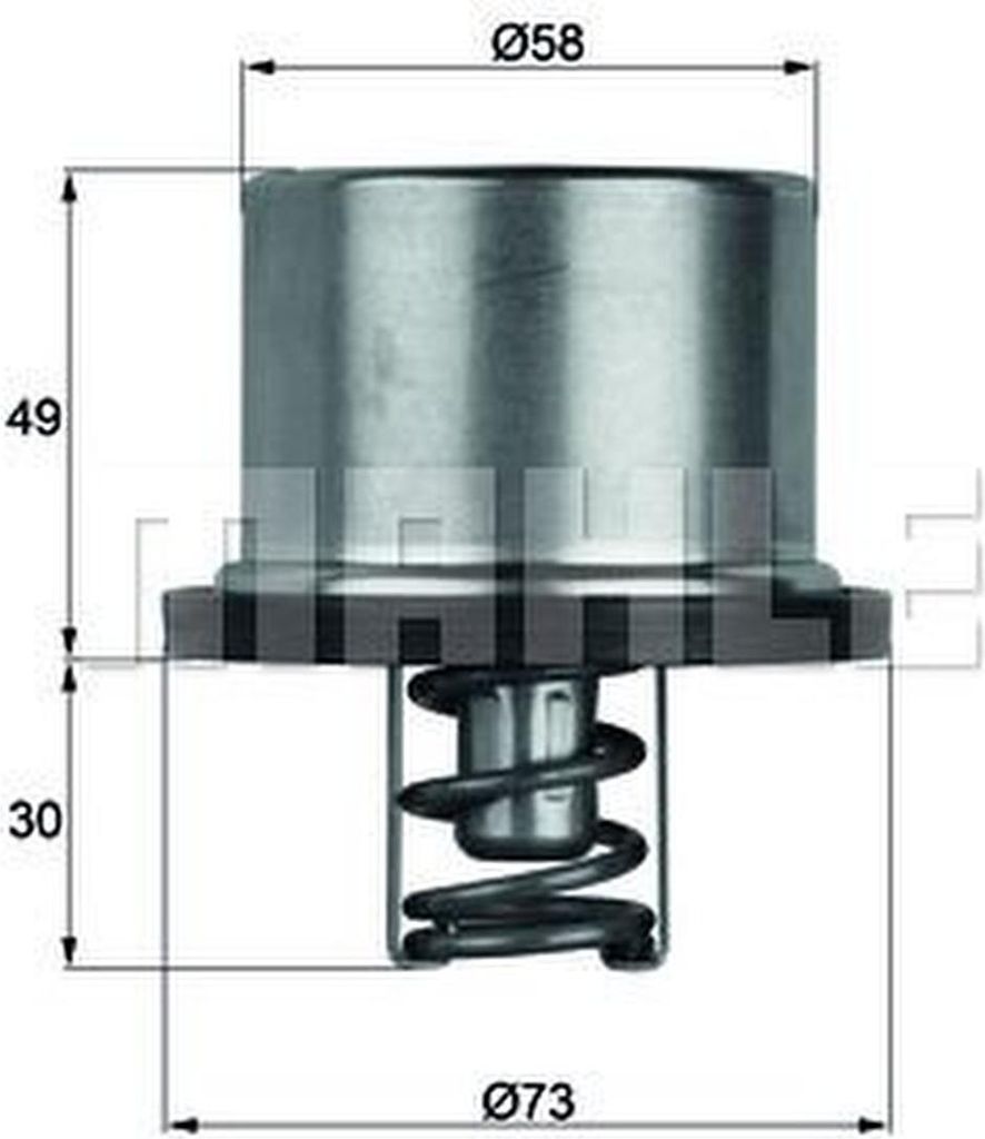 Mahle Thermostat für